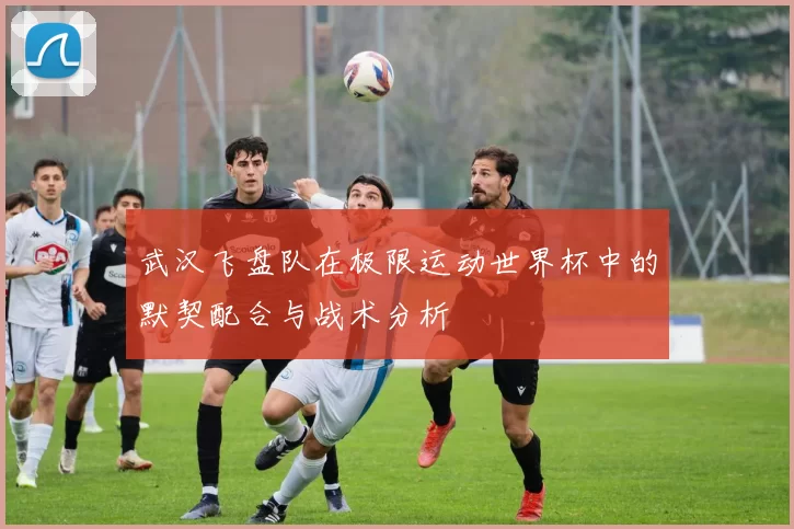 武汉飞盘队在极限运动世界杯中的默契配合与战术分析