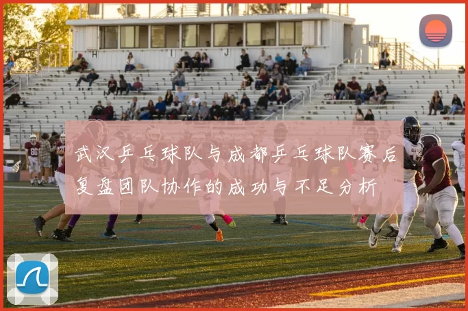 武汉乒乓球队与成都乒乓球队赛后复盘团队协作的成功与不足分析