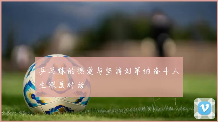 乒乓球的热爱与坚持刘军的奋斗人生深度对话