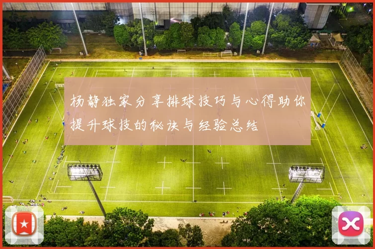 杨静独家分享排球技巧与心得助你提升球技的秘诀与经验总结
