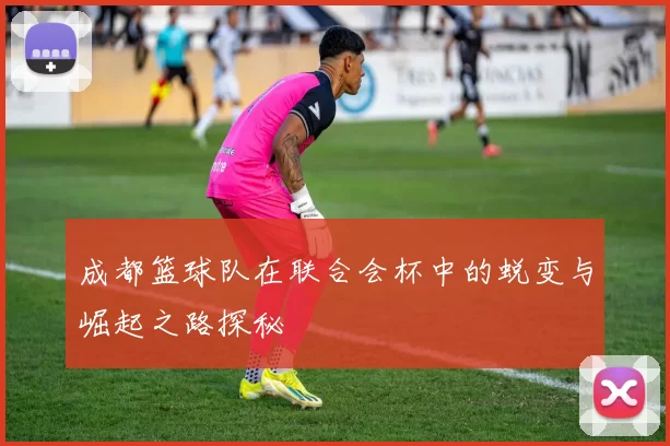 成都篮球队在联合会杯中的蜕变与崛起之路探秘