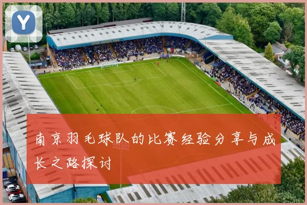 南京羽毛球队的比赛经验分享与成长之路探讨