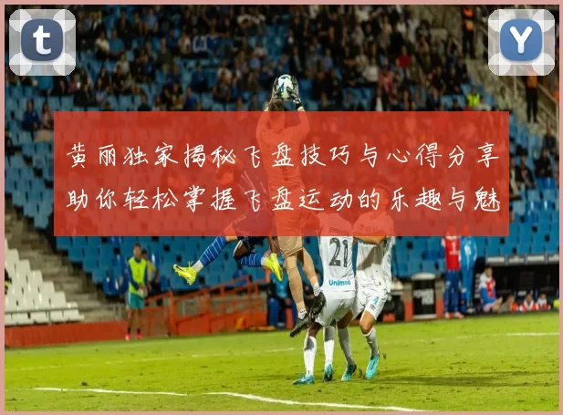 黄丽独家揭秘飞盘技巧与心得分享助你轻松掌握飞盘运动的乐趣与魅力