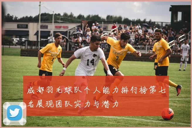 成都羽毛球队个人能力排行榜第七名展现团队实力与潜力