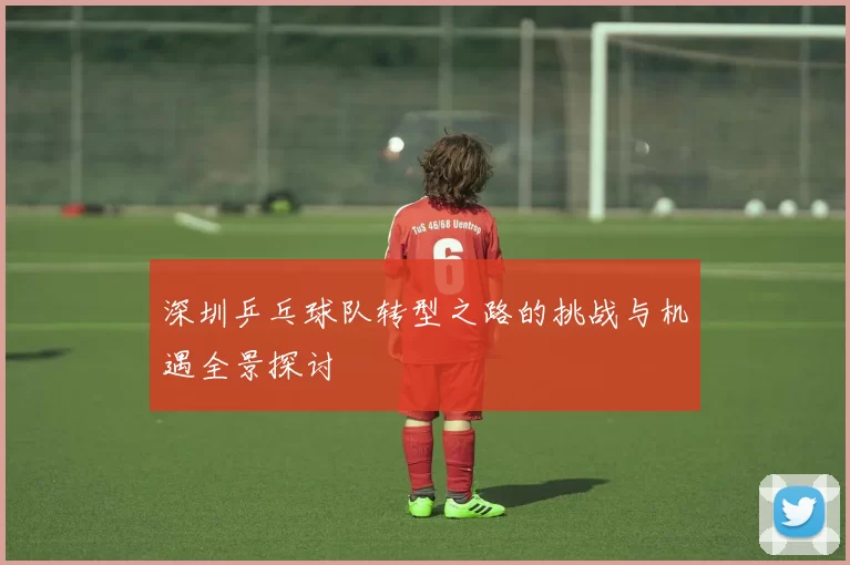深圳乒乓球队转型之路的挑战与机遇全景探讨