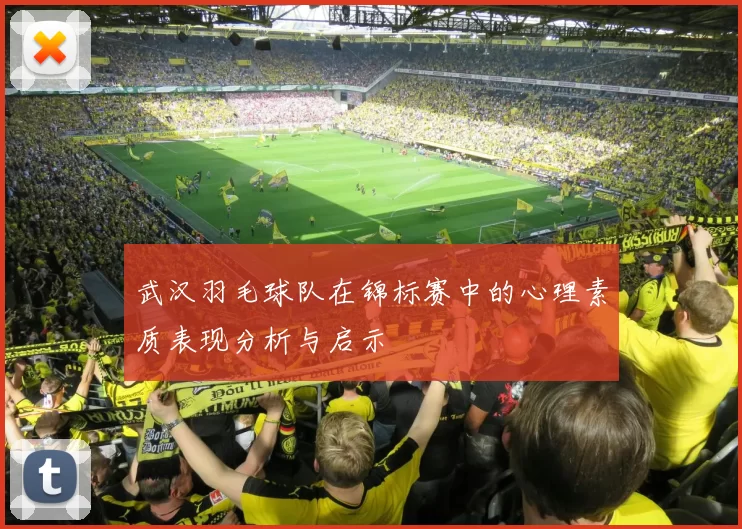 武汉羽毛球队在锦标赛中的心理素质表现分析与启示