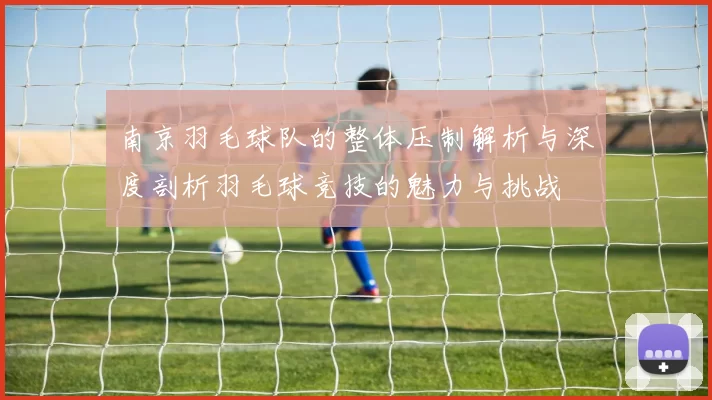 南京羽毛球队的整体压制解析与深度剖析羽毛球竞技的魅力与挑战
