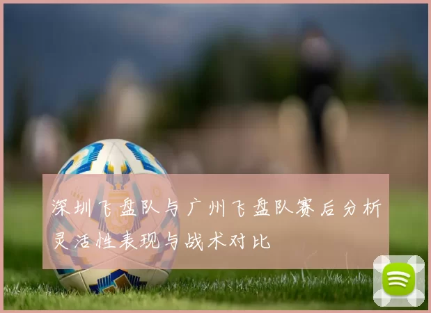 深圳飞盘队与广州飞盘队赛后分析灵活性表现与战术对比