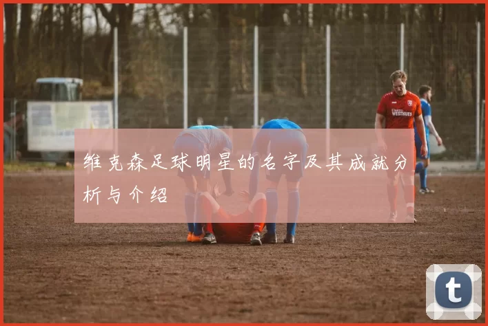 维克森足球明星的名字及其成就分析与介绍