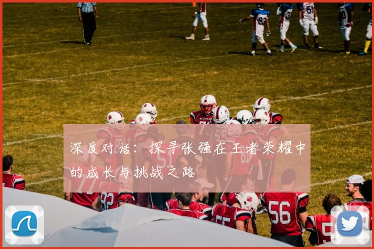 深度对话：探寻张强在王者荣耀中的成长与挑战之路
