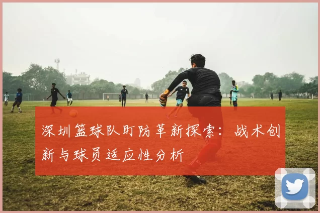 深圳篮球队盯防革新探索：战术创新与球员适应性分析