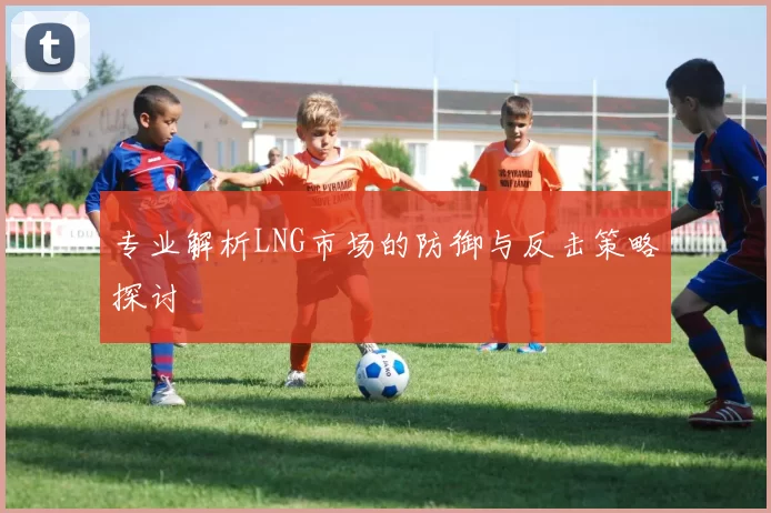 专业解析LNG市场的防御与反击策略探讨