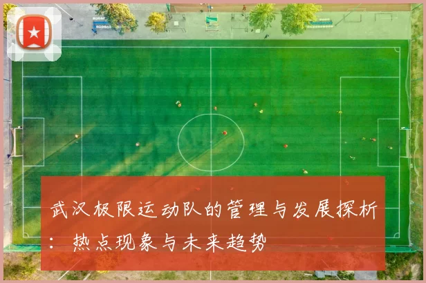 武汉极限运动队的管理与发展探析：热点现象与未来趋势