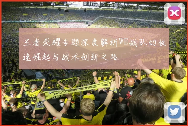 王者荣耀专题深度解析WE战队的快速崛起与战术创新之路