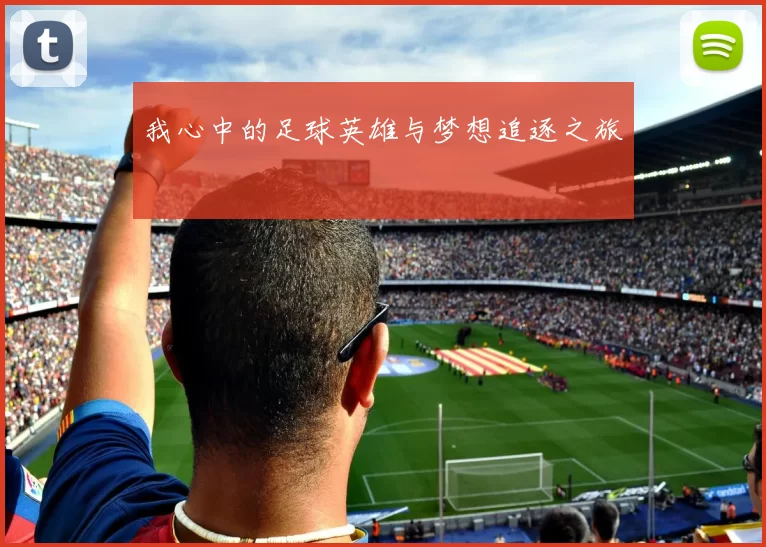 我心中的足球英雄与梦想追逐之旅