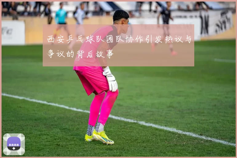 西安乒乓球队团队协作引发热议与争议的背后故事