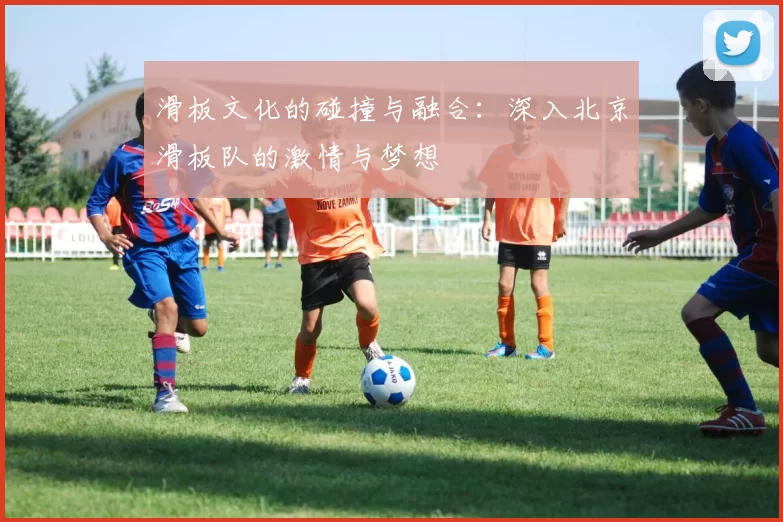 滑板文化的碰撞与融合：深入北京滑板队的激情与梦想